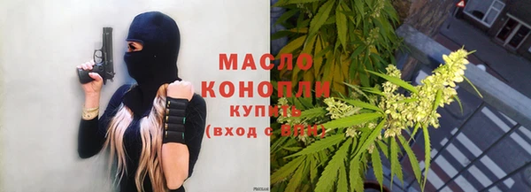 хмурый Арсеньев