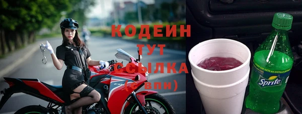 хмурый Арсеньев