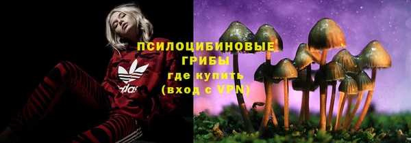 скорость Аркадак