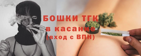 хмурый Арсеньев