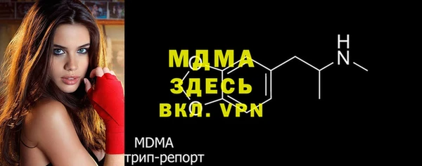 хмурый Арсеньев