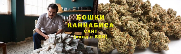 хмурый Арсеньев