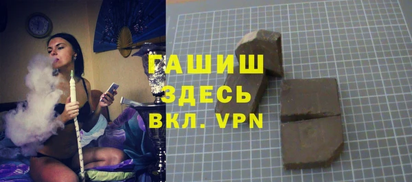 хмурый Арсеньев